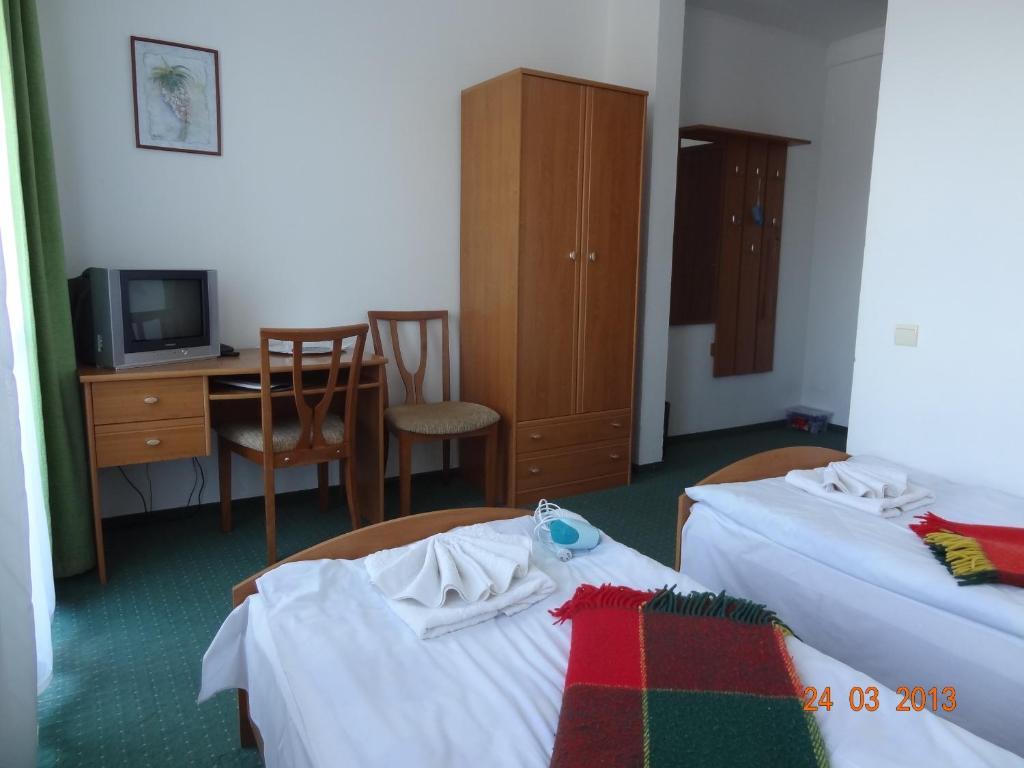Hotel Alpenhof Pansion Slavske Pokoj fotografie